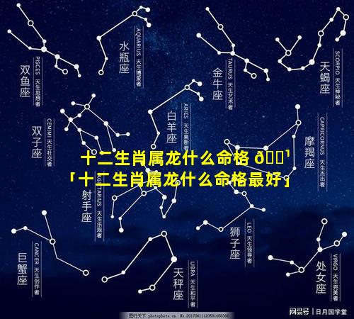 十二生肖属龙什么命格 🌹 「十二生肖属龙什么命格最好」